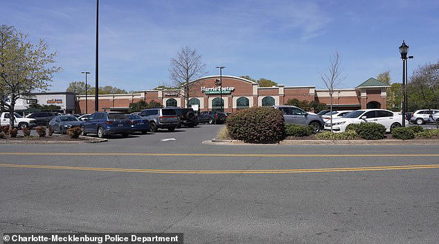 Woman arrested for stabbing pregnant mom with steak knife outside ...