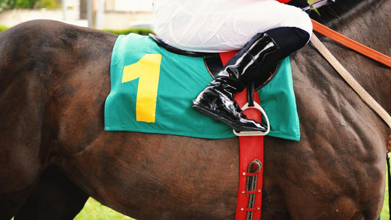 FanDuel Racing promo code: Get $50 racing bonus after first $10 wager ...