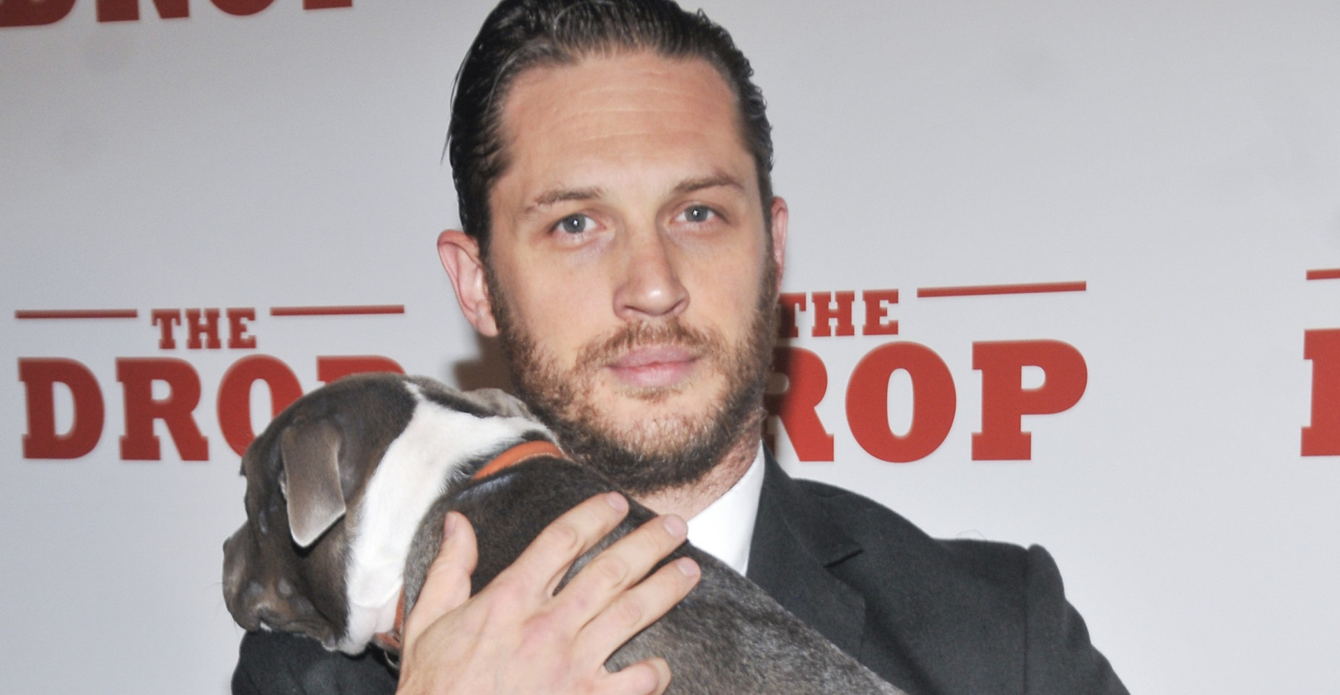 Actors who formed a special bond with their animal co-stars
