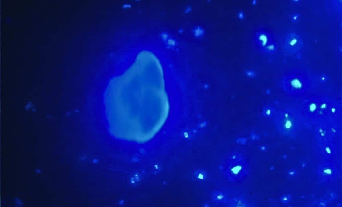 Scientists develop a home device that removes invisible micro and ...