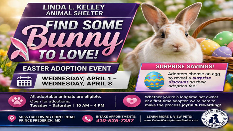 Spring into pet adoption at Linda L Kelley Shelter promotion