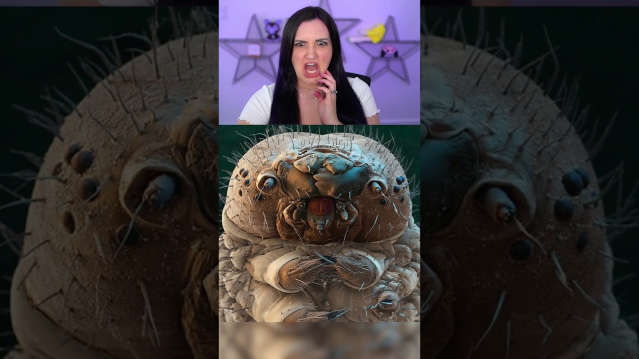 Things that look scary when zoomed in
