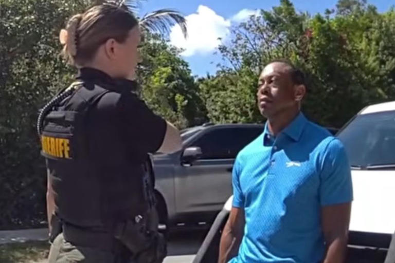 Tiger Woods appears to struggle performing simple cognitive tests that ...