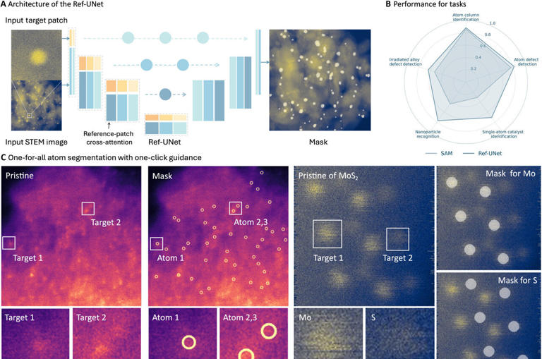 AI turns electron microscopy into materials insights in minutes