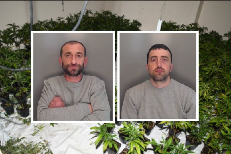 Inside £280,000 cannabis factory in abandoned North East bank