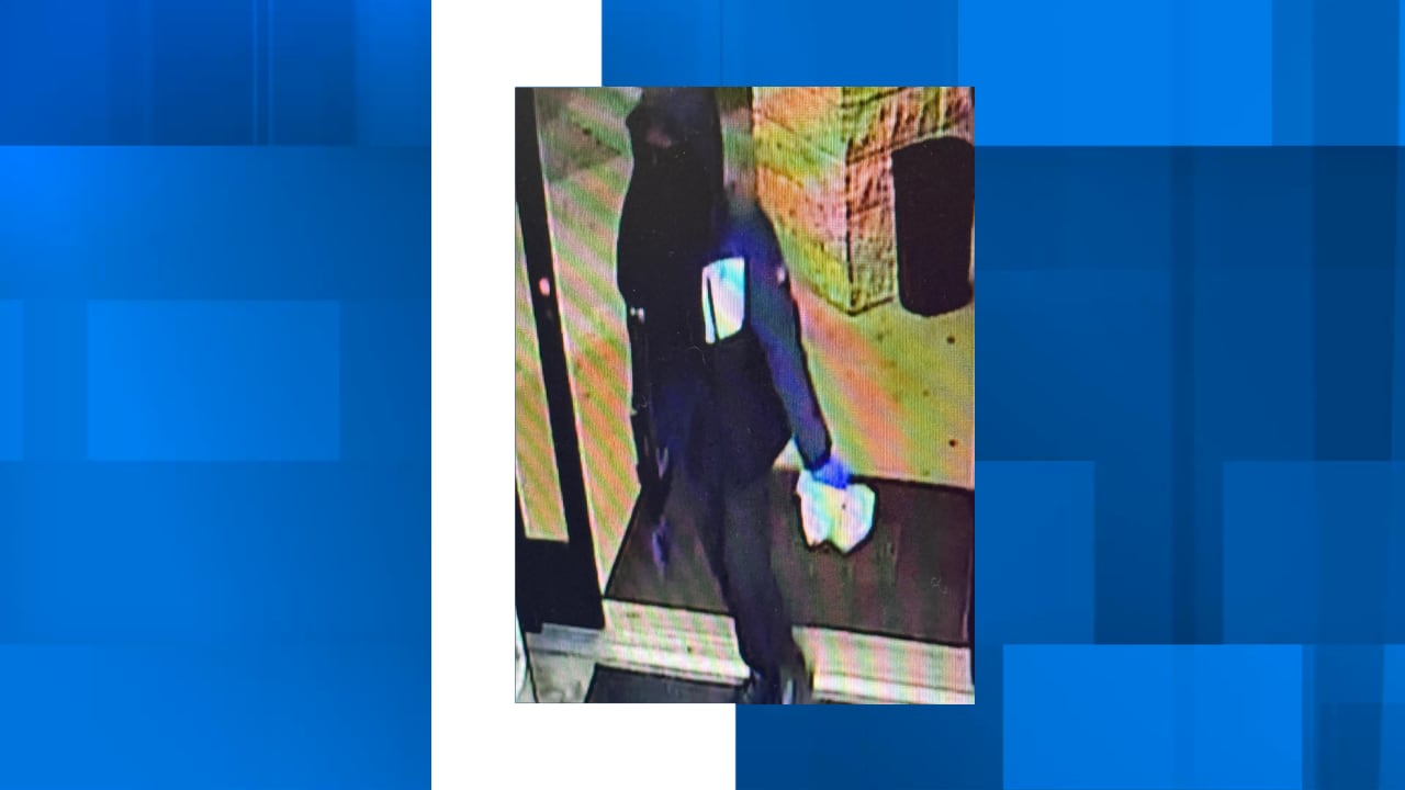 Colleton County deputies search for armed suspect in Dollar General robbery