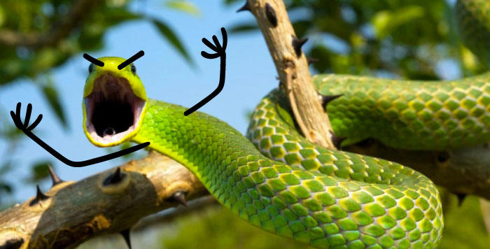 25 hilarious snake pics transformed by creative doodles