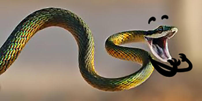 25 hilarious snake pics transformed by creative doodles