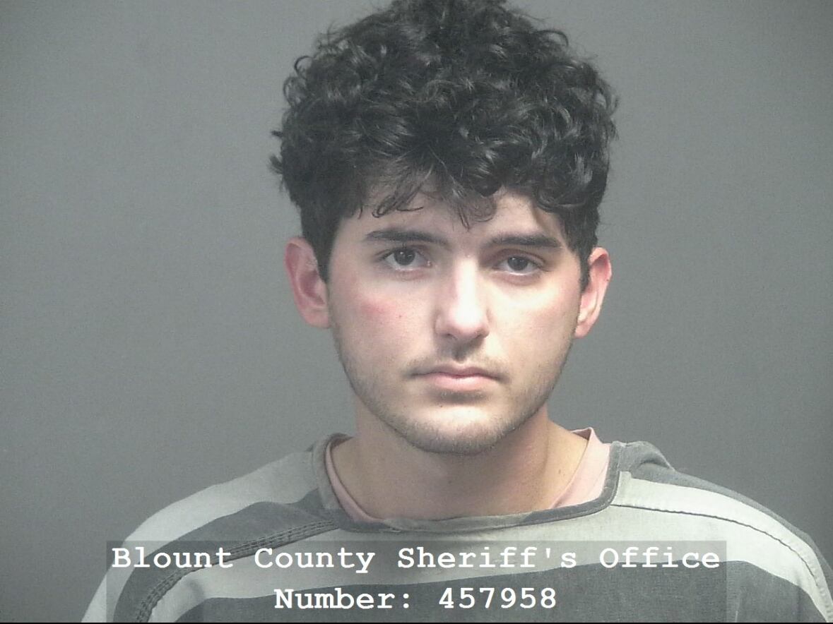 Blount County man facing child sex charges