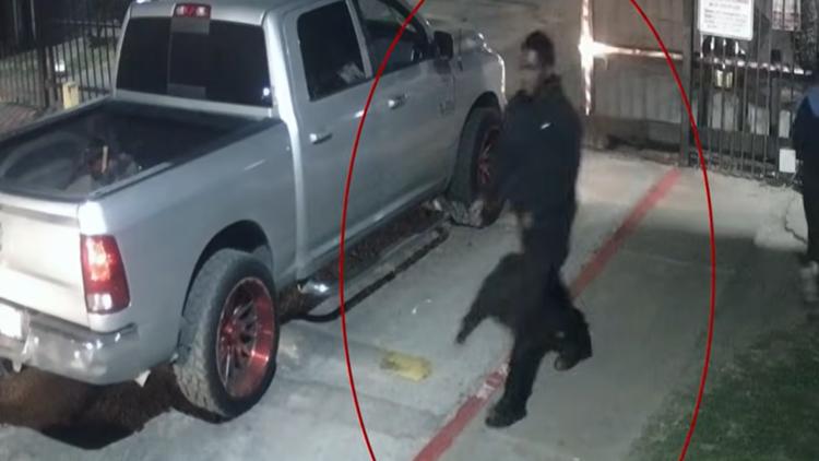 Person of interest sought in deadly Spring Branch shooting