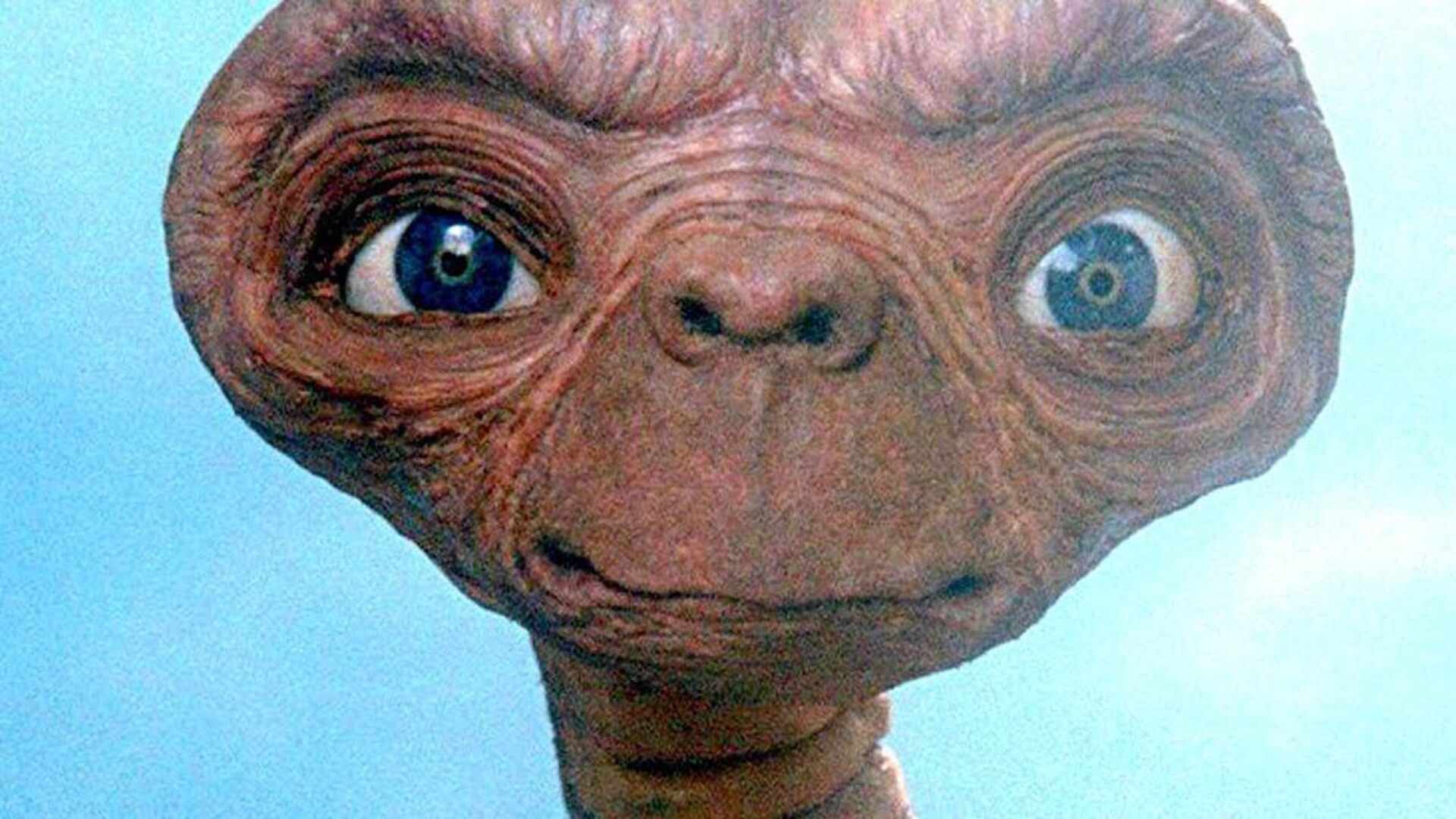 Things you only notice in ET as an adult