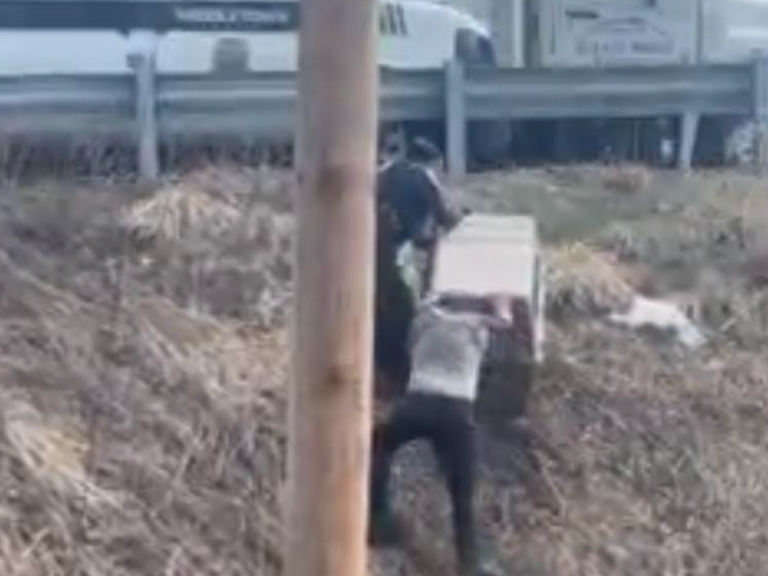 Middletown Animal Control Officer Gets Lost Dog Trapped In Ravine Near ...