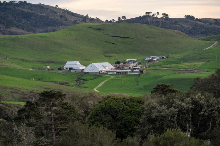 Last days on Point Reyes: Part 1 - Ranchers' time up as deal returns ...