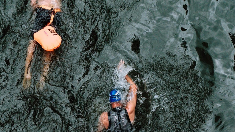 Swimmable cities movement: Chicago, Paris and London lead push to clean ...