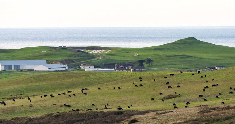 Last days on Point Reyes: Part 1 - Ranchers' time up as deal returns ...
