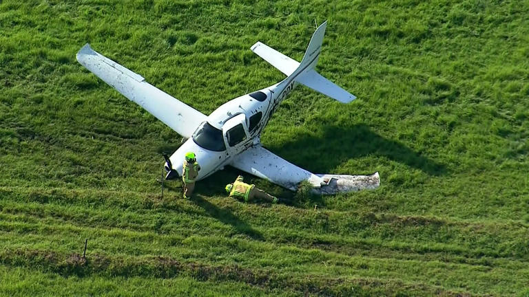 The pilot of the small plane was uninjured in the crash. (ABC News)