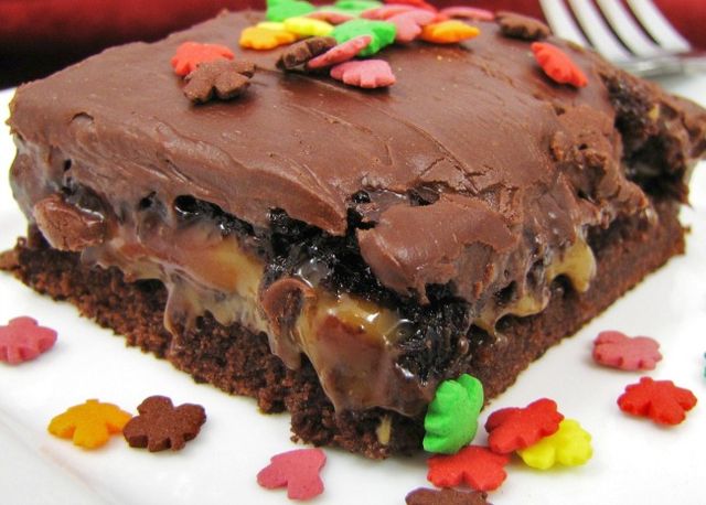 Turtles® Cake I