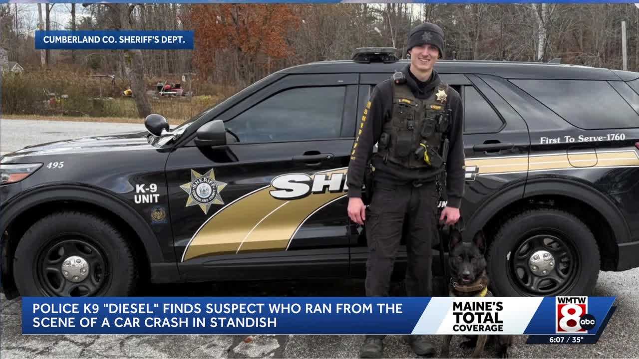 Cumberland County K-9 helps track down suspect who fled Standish crash