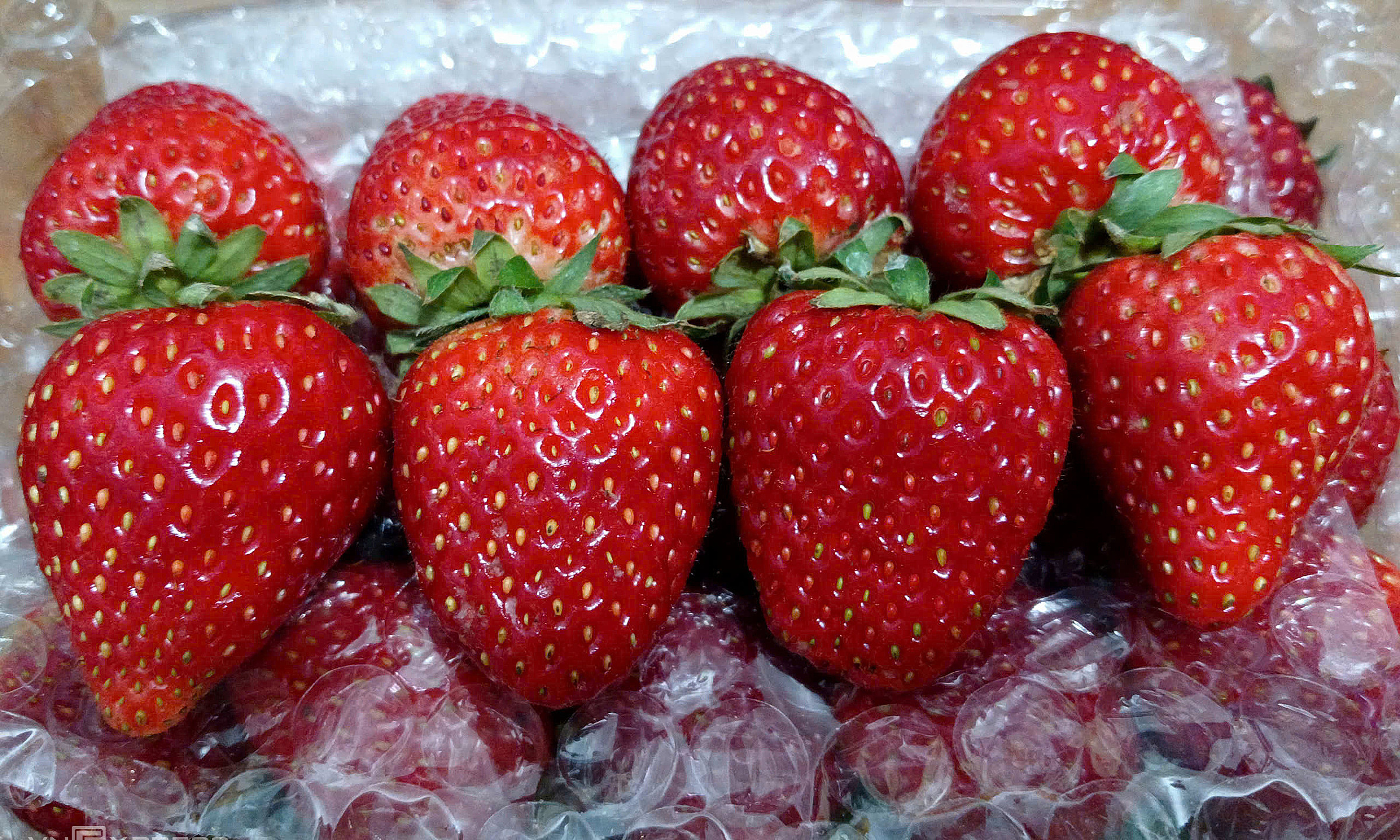 Strawberry exports jump 2,000-fold