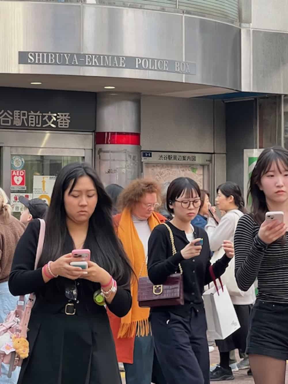 Tokyo night food tour: A gateway to Japanese culture