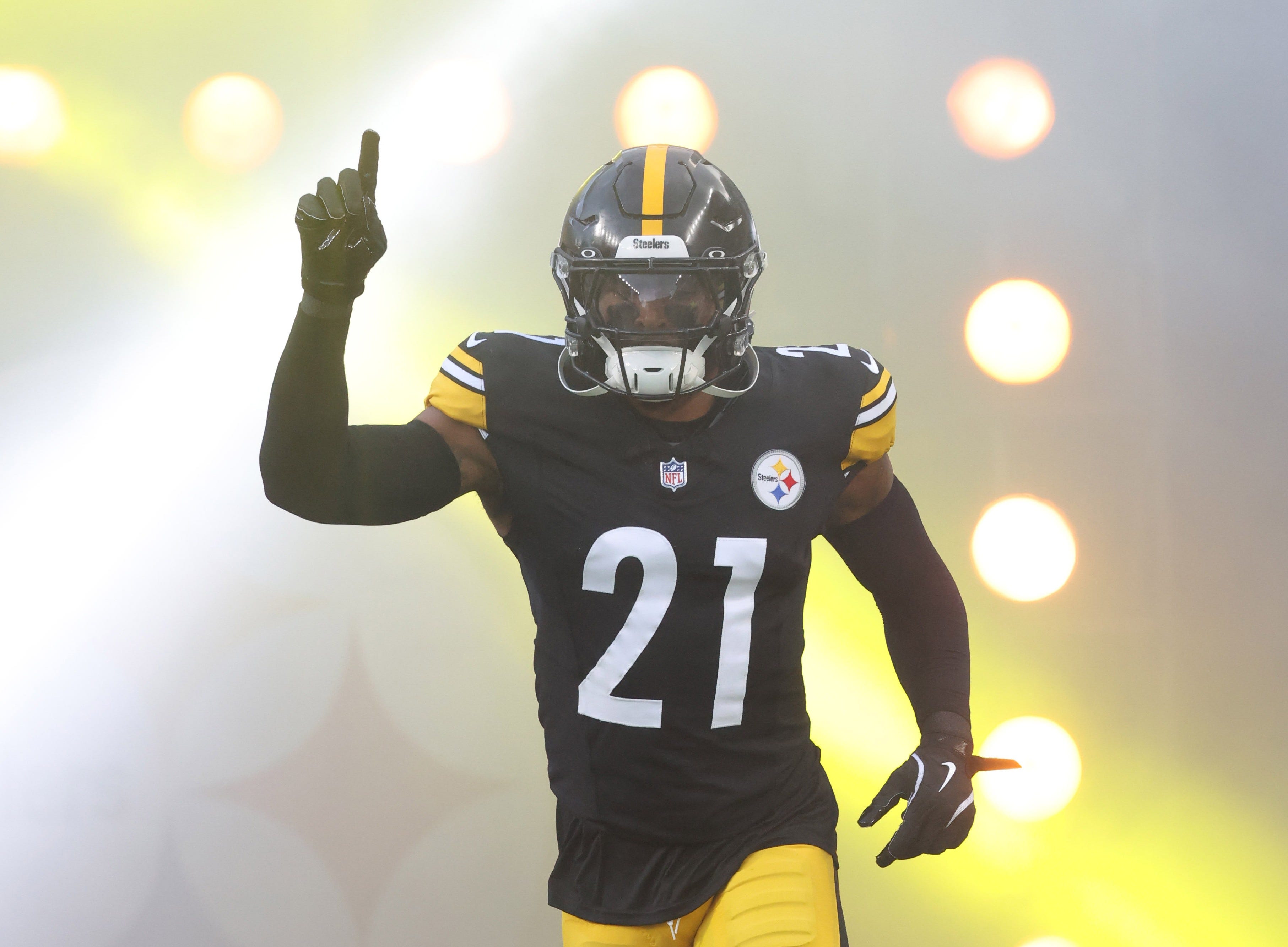 Ex-Steelers safety finds new home in NFC North<br><br>