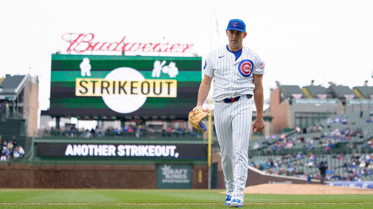 Fan spotted with laptop, apparently logging work hours from Wrigley ...