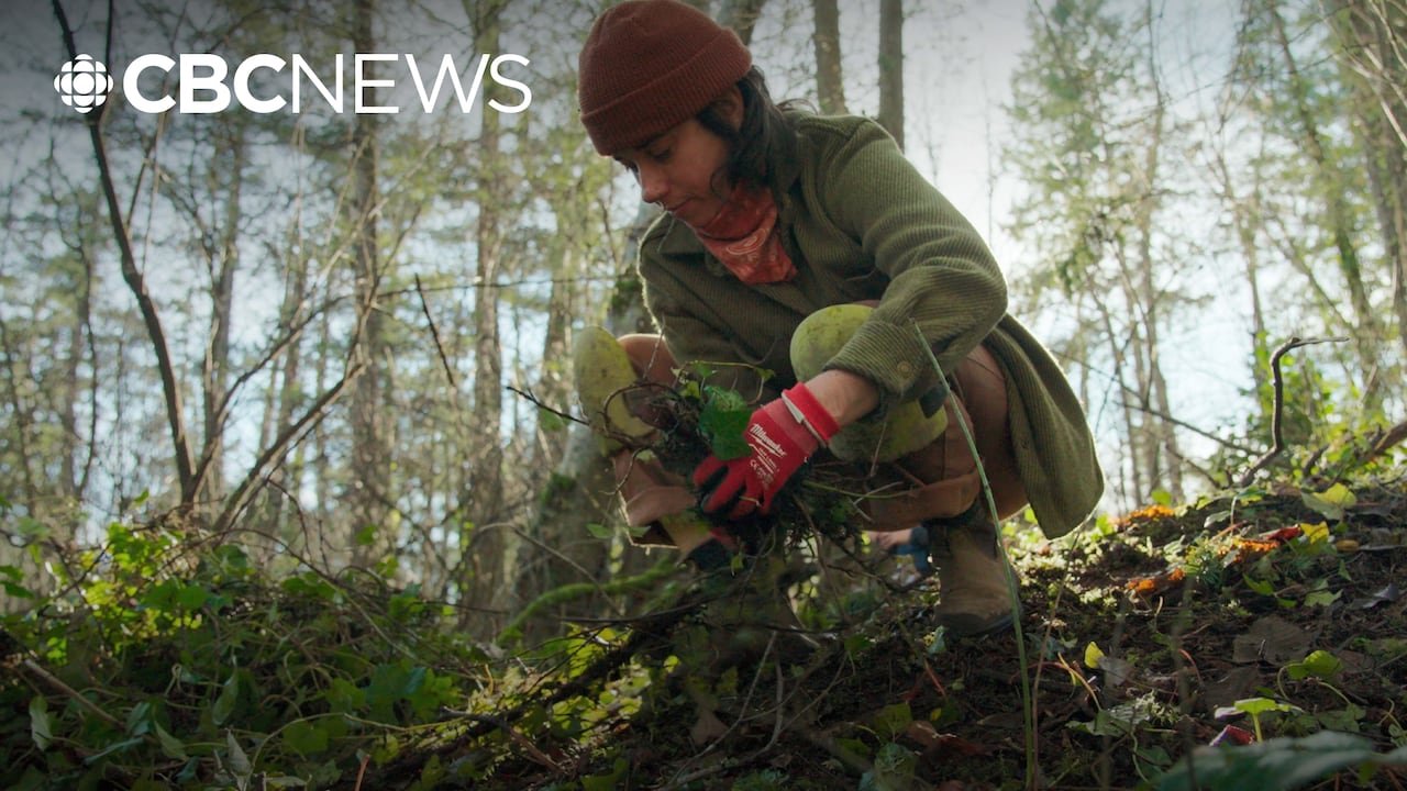 Invasive plants are threatening our forests. These volunteers want to ...