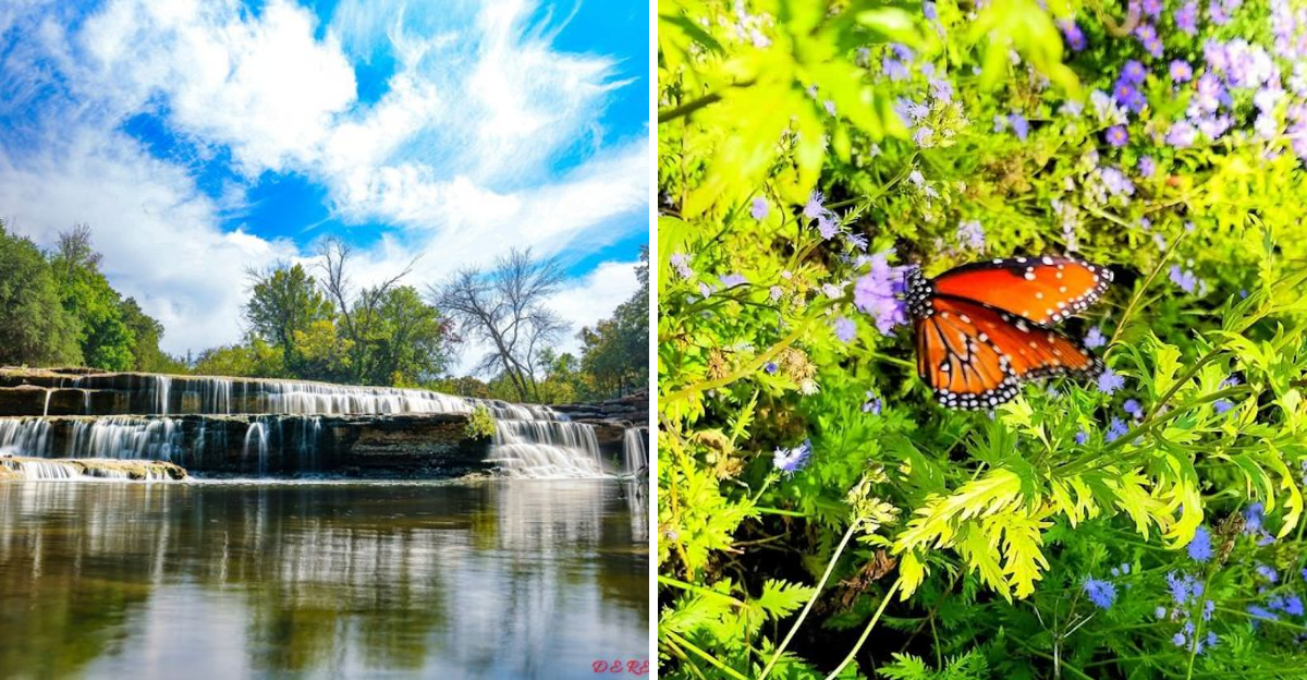 This short Texas nature trail is suddenly getting attention from locals