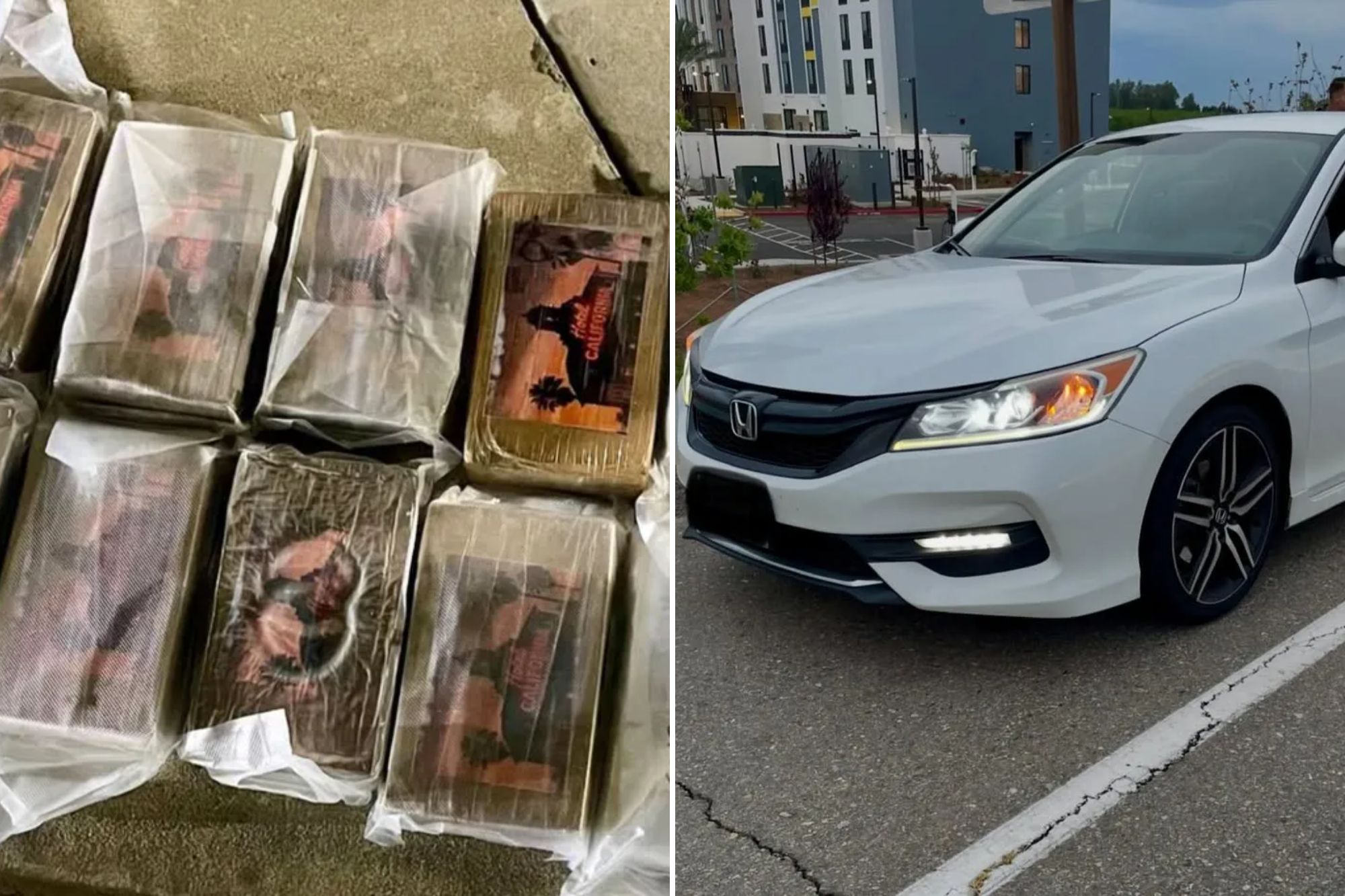 'Hotel California' cocaine found stashed in secret compartment during ...