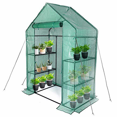 These greenhouse kits make growing plants almost foolproof