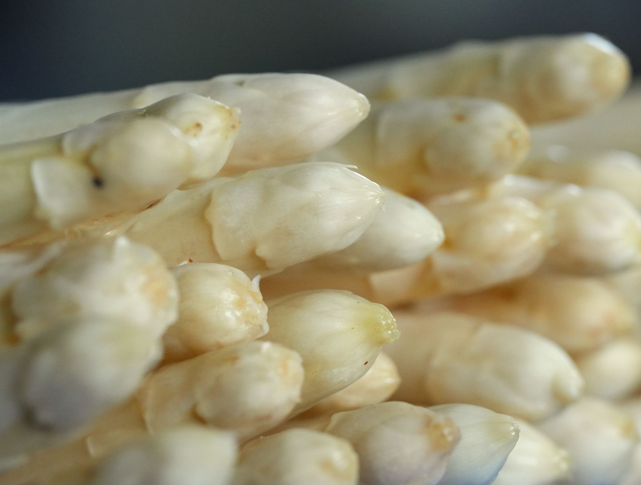 Zu Ostern kaum heimischer Spargel in Schleswig-Holstein