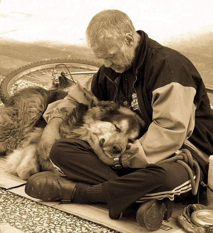 Anziano solo trova un cane randagio e insieme affrontano fame e freddo ...