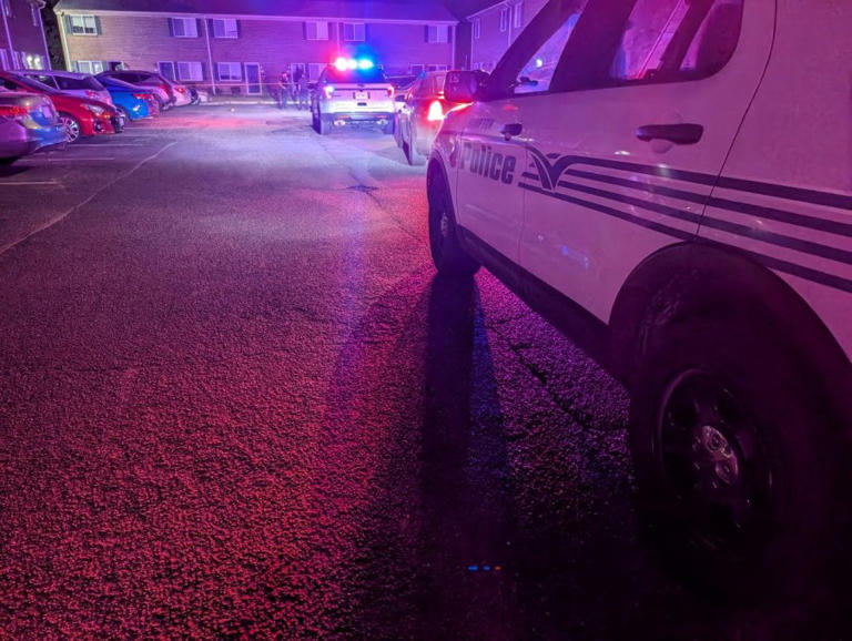 HPD: 24-year-old man arrested in connection with fatal shooting on ...