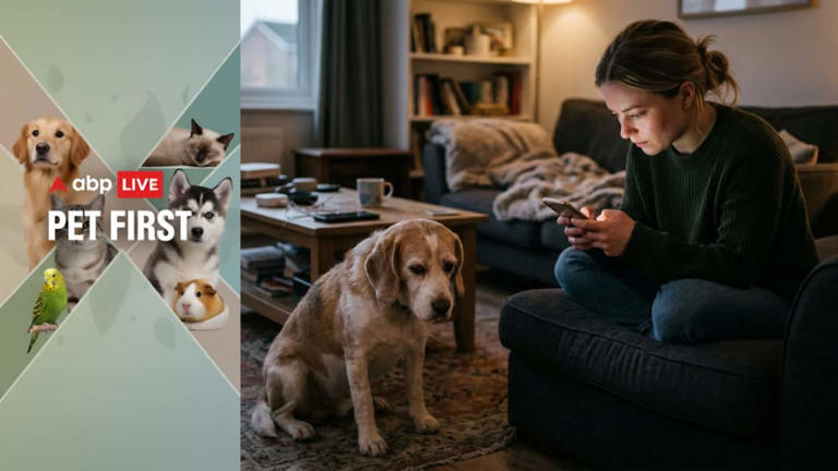 Pet first | 7 things your dog wants you to stop doing immediately