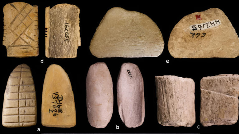 Une découverte de 12 000 ans bouleverse l’histoire des probabilités ...