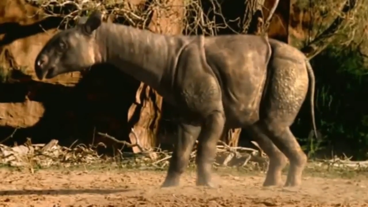 The terrifying creatures early humans never encountered