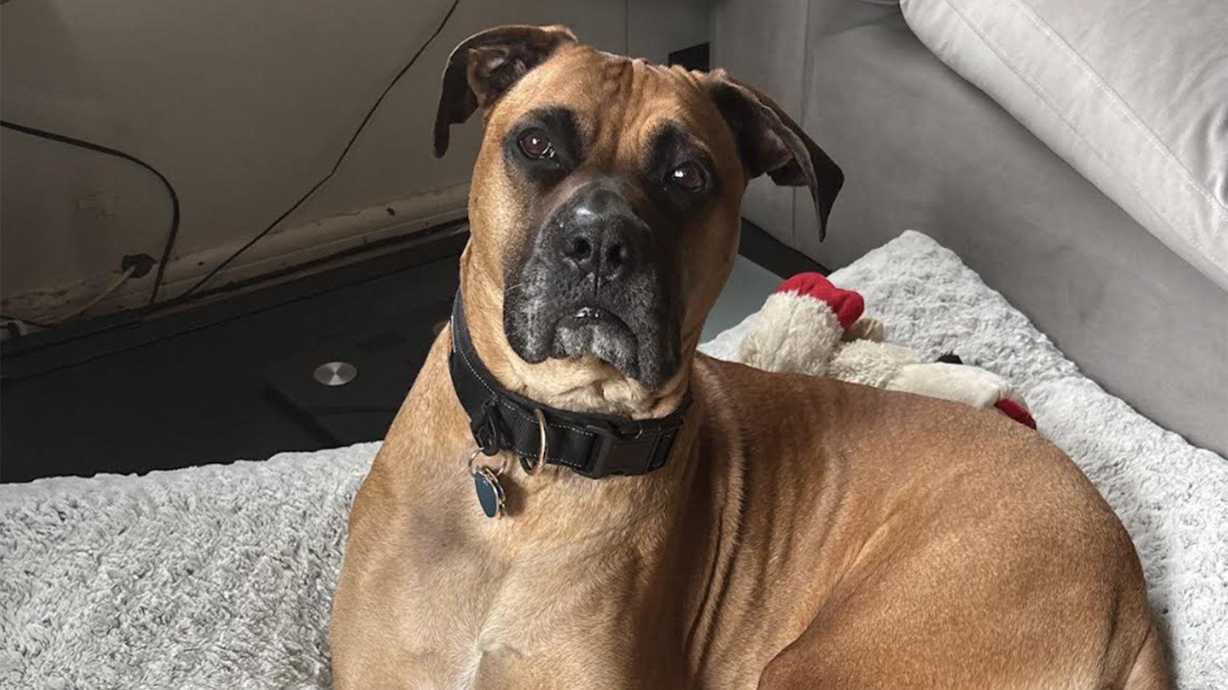 Weather buddies: 'Thor'