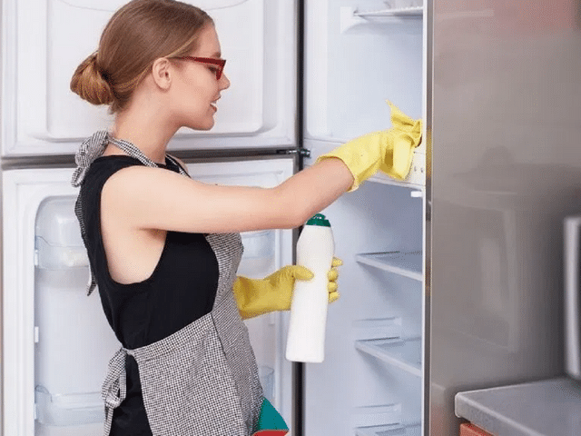 Fridge cleaning tips: Make your refrigerator sparkle and odour-free ...
