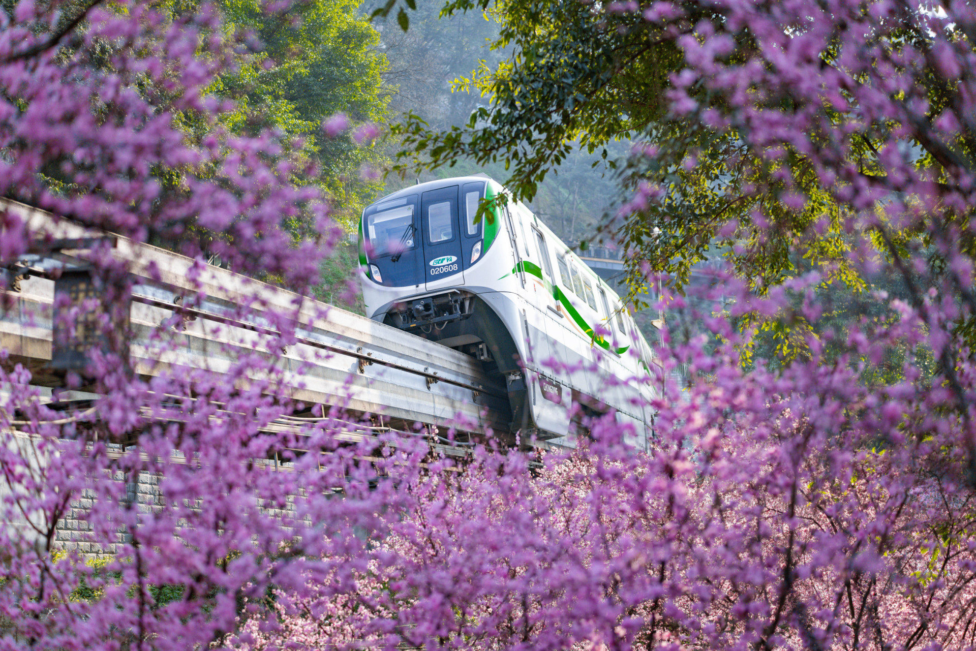 The longest train journeys in the world
