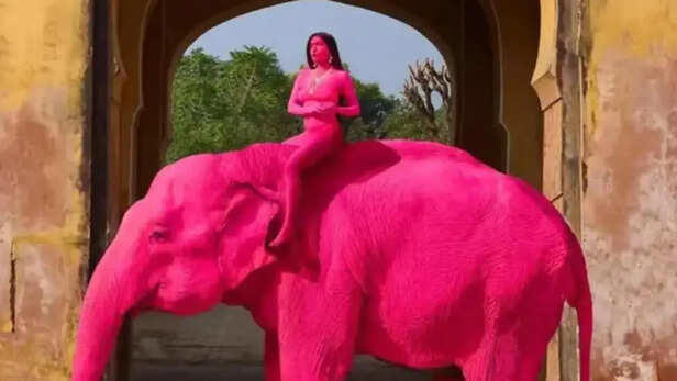 Pink elephant effect: How a viral Jaipur shoot turned into an internet ...