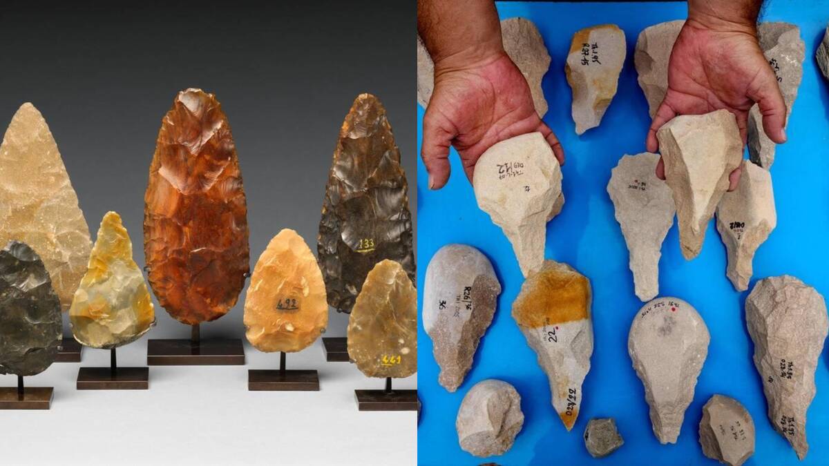 Fossil evidence of early humans using tools and symbols