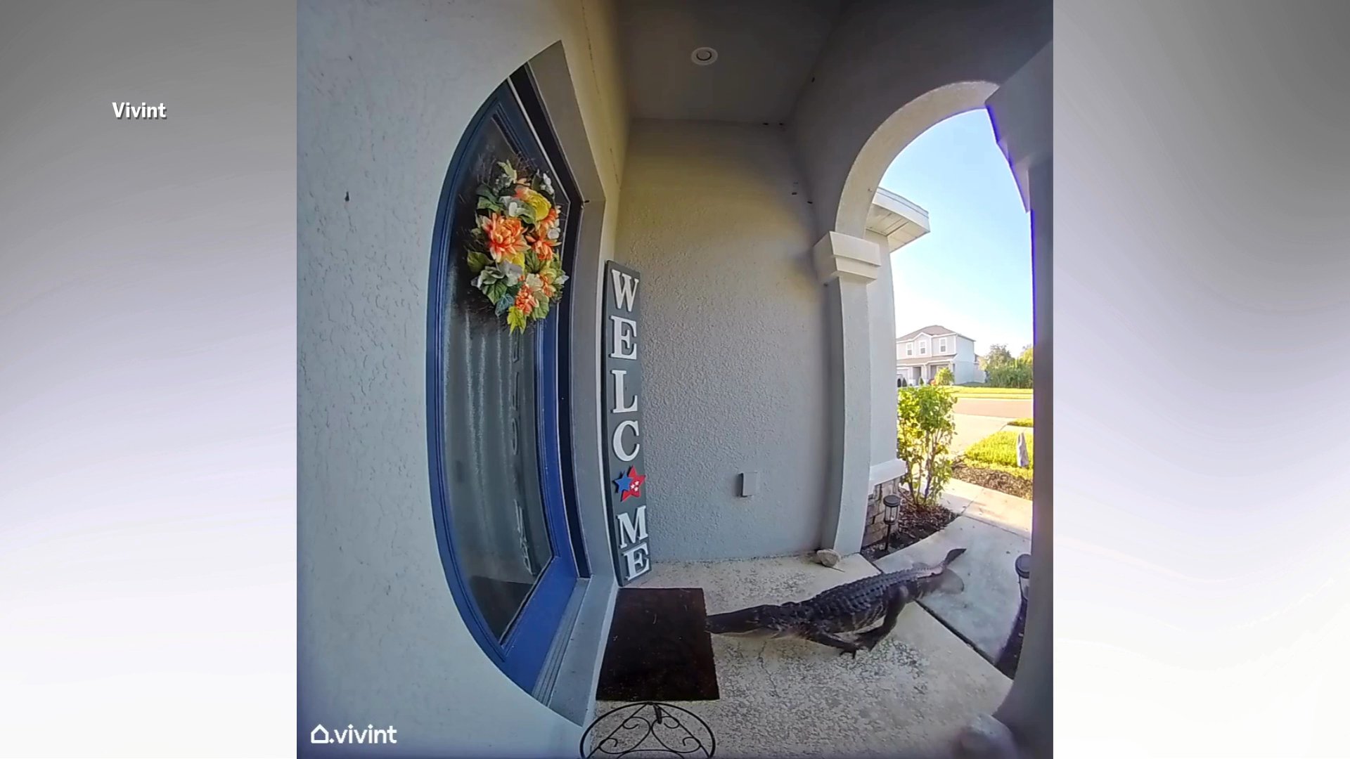 Woman Gets Doorbell Cam Notification, Shock At What’s Lurking Outside