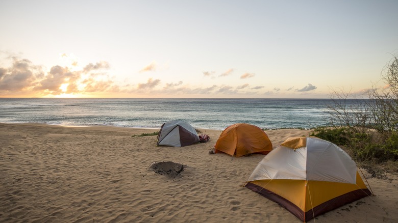 The 5 best Texas Gulf Coast beaches where you can camp for free