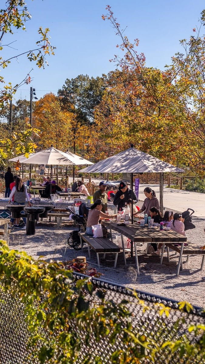 29 top Raleigh NC attractions and landmarks not to miss