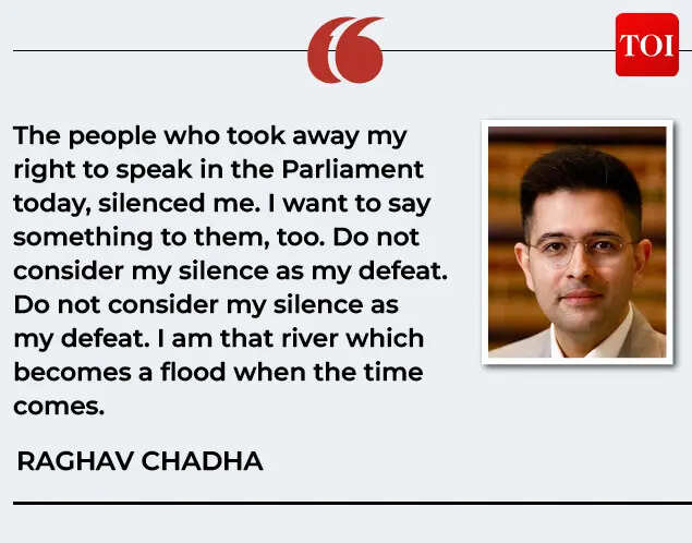 Raghav Chadha vs Aam Aadmi Party: Simmering rift now out in open; what ...