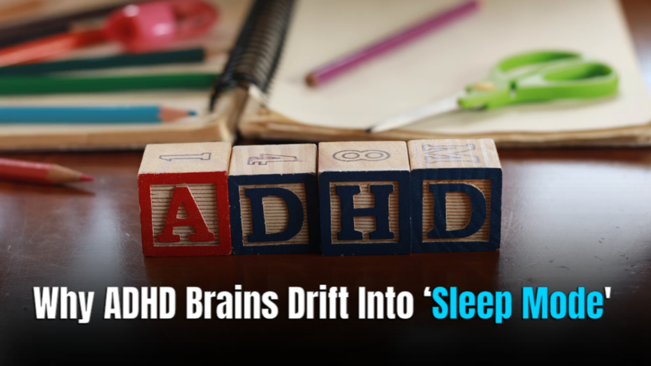Study finds ADHD brains enter sleep-like states during the day