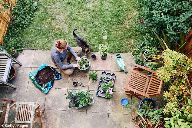 Spring has sprung! Experts reveal the garden tasks to do in April