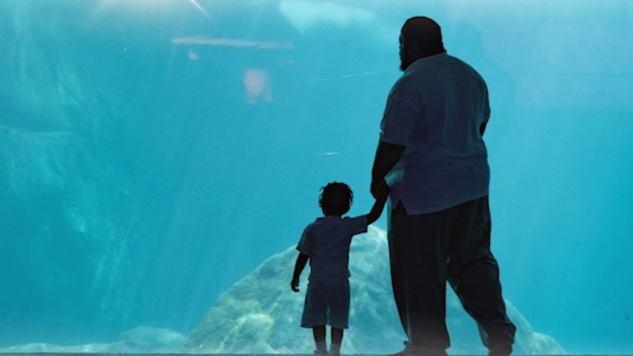 Dynamic Cares to host aquarium autism awareness brunch