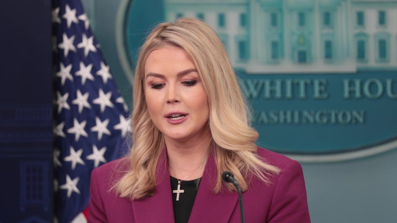 Donald Trump dubbed 'blithering idiot' amid Leavitt's unhinged claim