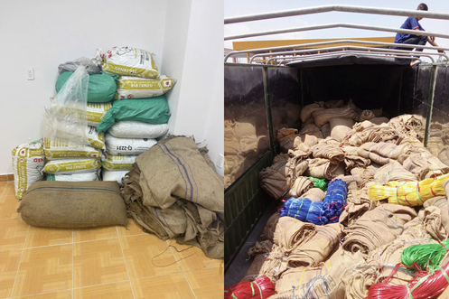 Triệt phá đường dây chiếm đoạt 500 tấn hạt điều, trị giá 22 tỉ đồng